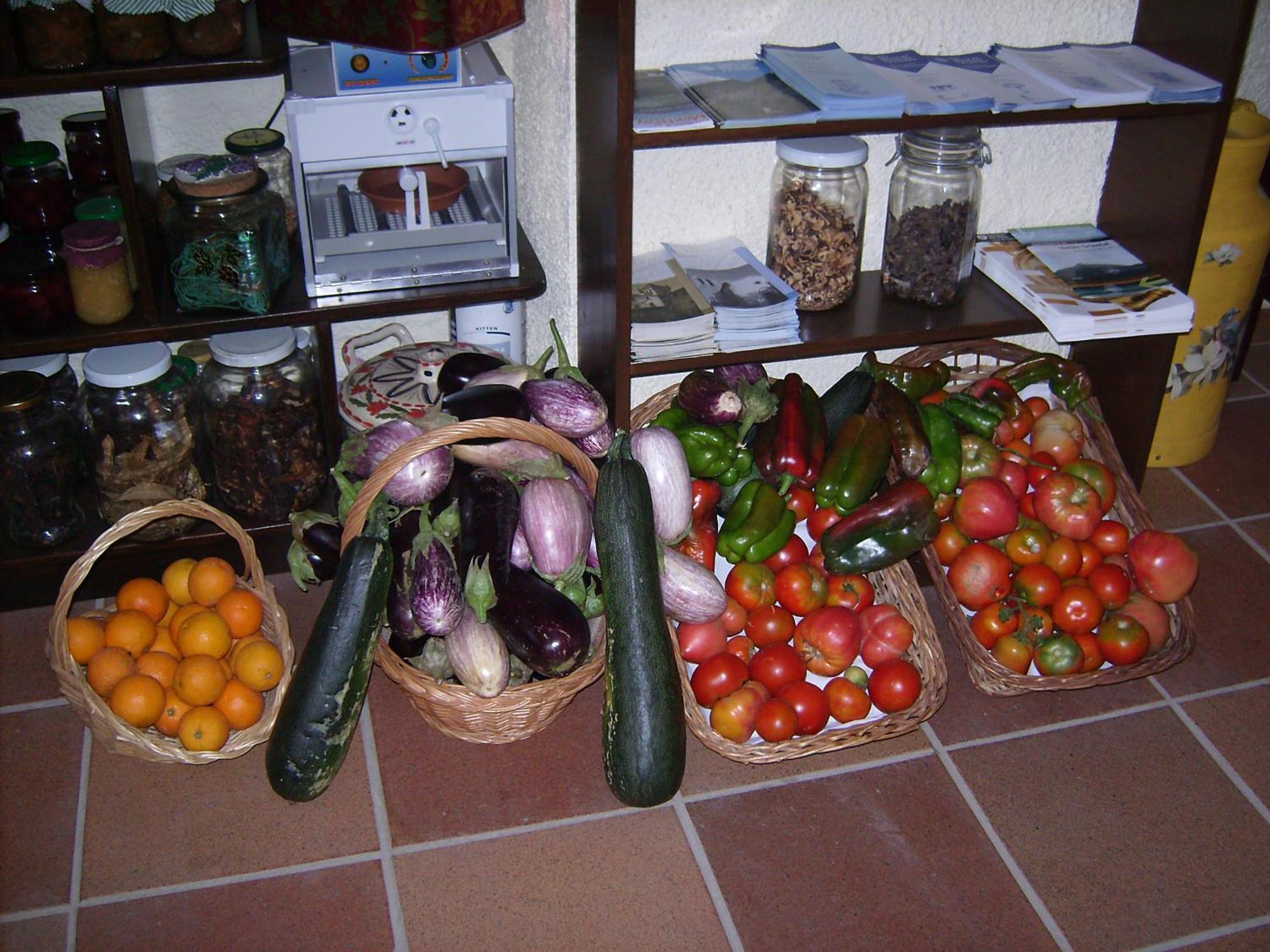 Masia Can Felip B&B Llinars del Valles Ngoại thất bức ảnh